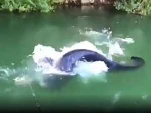 【驚愕】釣り人「化け物が住むという川にエサ投げた5秒後…恐ろしい事が起きた」