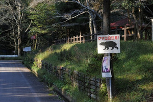 【石尊山】山道でクマに襲われ軽井沢